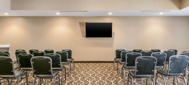 辛辛那提南部弗洛伦斯舒适套房酒店(Comfort Suites Florence - Cincinnati South)图片