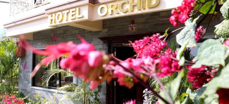 兰花酒店(Hotel Orchid - Family-Run, Family-Care)图片