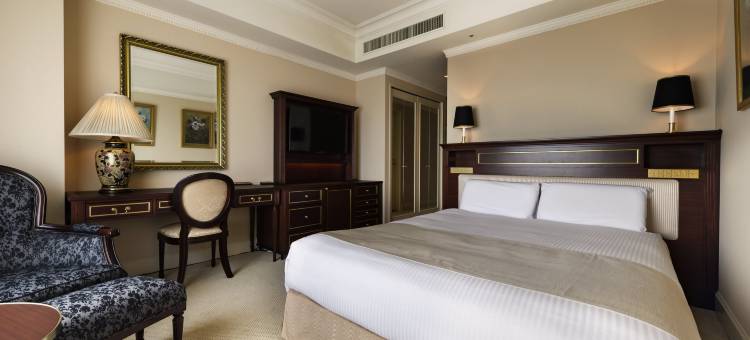 东京第一酒店(Dai-Ichi Hotel Tokyo)图片