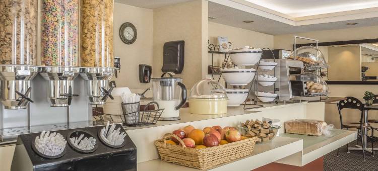 舒适套房酒店(Comfort Suites)图片