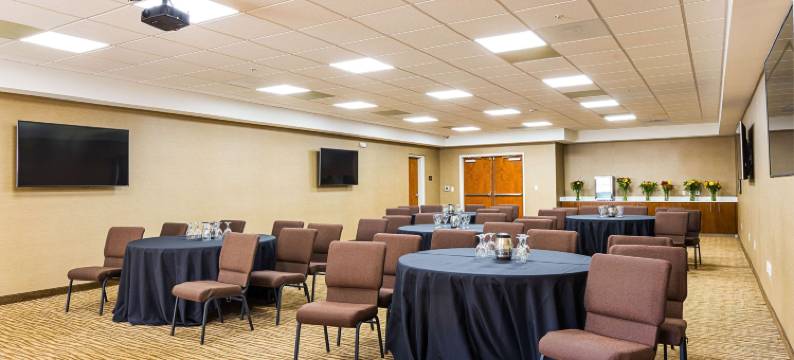 舒适套房酒店(Comfort Suites Greenville South)图片