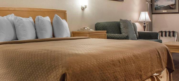 凯艺套房酒店(Quality Inn and Suites)图片