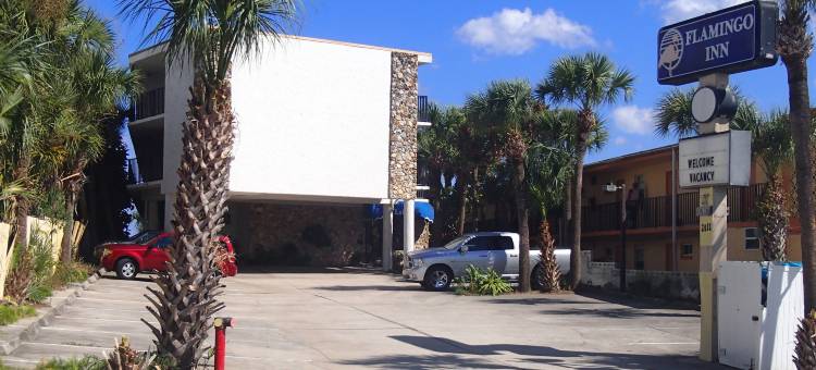 海滨 火烈鸟酒店 - 代托纳海滩(Flamingo Inn Beachfront - Daytona Beach)图片