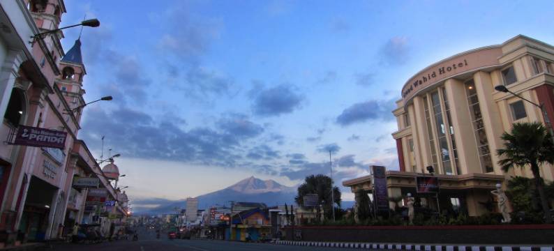 萨拉提加瓦希德大酒店(Grand Wahid Hotel Salatiga)图片