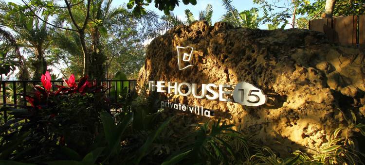 屏东白砂15图片