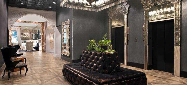 塔拉哈西希尔顿逸林酒店(DoubleTree by Hilton Tallahassee)图片