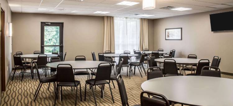 哈特维尔北坎顿舒适套房酒店(Comfort Suites Hartville-North Canton)图片