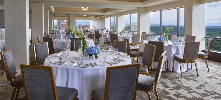 阿什维尔市中心万丽酒店(Renaissance Asheville Downtown Hotel)图片
