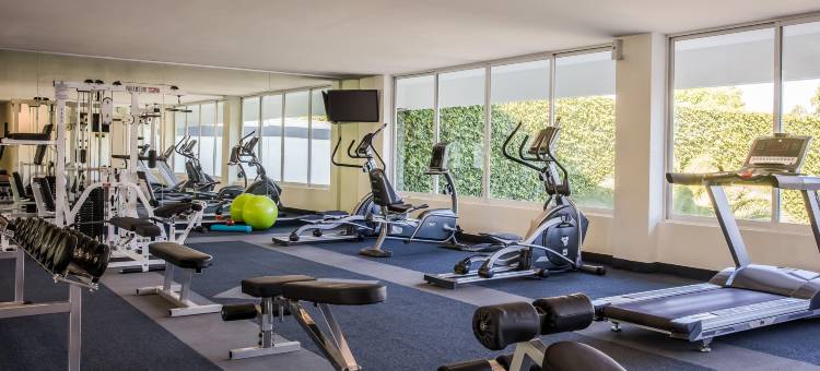 弗艾斯塔圣路易斯波托西格奥日艾塔华雷斯酒店(Fiesta Inn San Luis Potosi Glorieta Juarez)图片