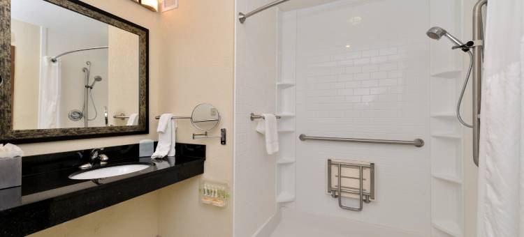 Holiday Inn 蒙哥马利机场南(Holiday Inn Montgomery Airport South)图片