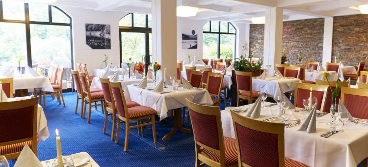 迪美尔西戈贝尔酒店(Göbel's Seehotel Diemelsee)图片