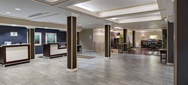 Sheraton Bellevue Hotel图片