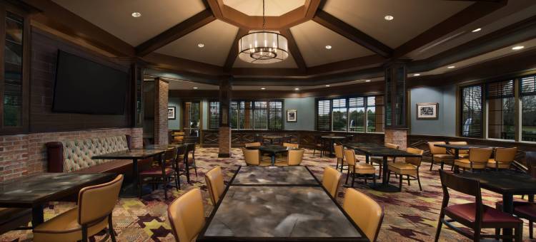 格兰德维斯塔万豪酒店(Marriott's Grande Vista)图片