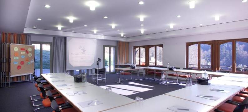 蒙施瓦德林酒店(Ringhotel Mönch`s Waldhotel)图片