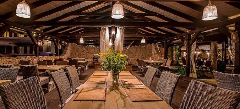 兹罗提林酒店(Złoty Lin)图片