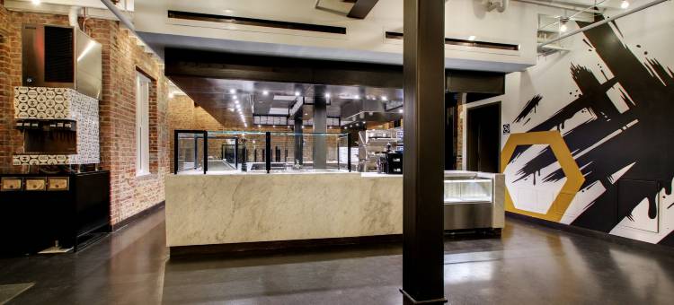 蜂巢酒店(Hotel Hive)图片
