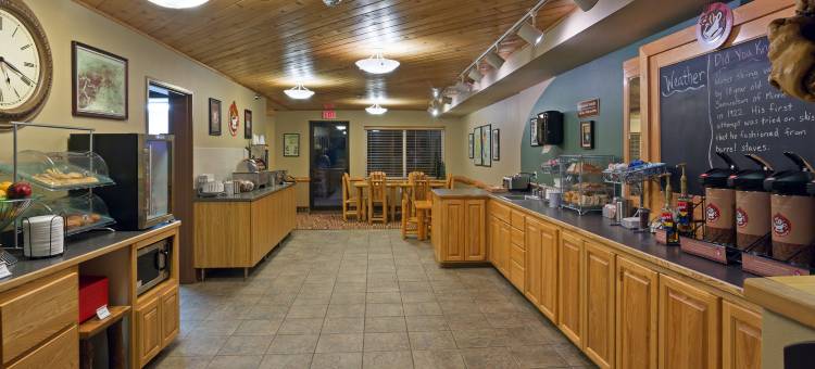佩奎特湖美吟温德姆酒店(AmericInn by Wyndham Pequot Lakes/Jenkins)图片
