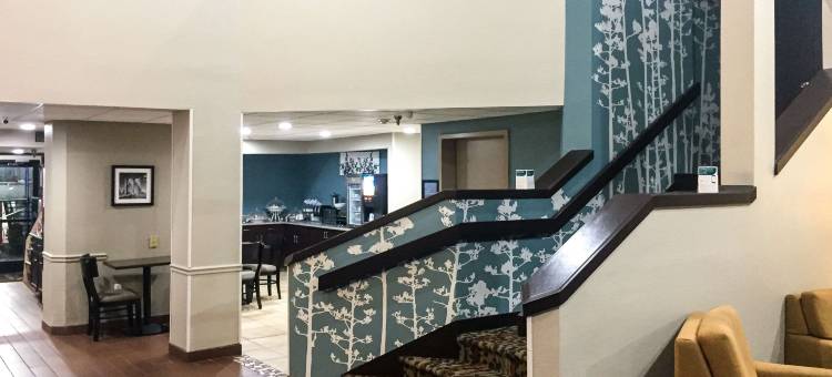 查塔努加舒眠酒店(Sleep Inn)图片