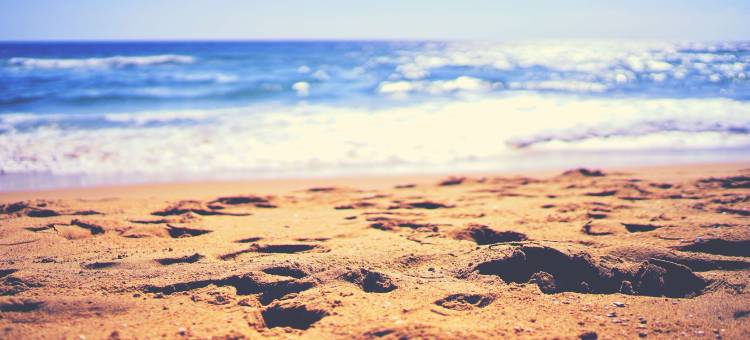 鸟塘-原生酒店(La Mare Aux Oiseaux the Originals Collection)图片