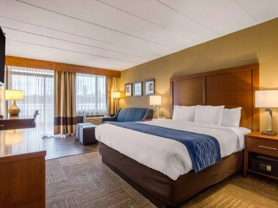 Comfort Inn Edgewater On Hudson River Hotel Reviews And Room