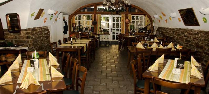 摩泽兰恩德塔尔苏姆翁克尔威利酒店(Moselland Hotel im Enderttal Zum Onkel Willi)图片