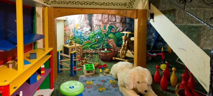 黑森林酒店(Silberkönig Schwarzwald Hotel & Restaurant Ringhotel)图片