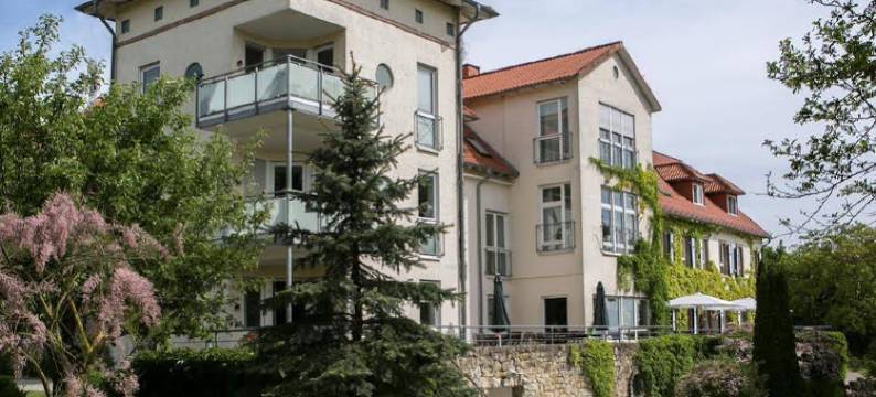 霍夫古特威斯贝格 - 酒庄酒店(Hofgut Wißberg - Das Weinberghotel)图片