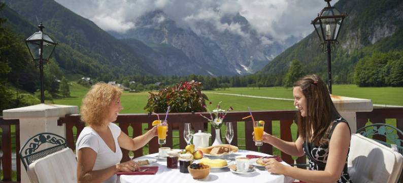 洛加尔山谷普莱斯尼克酒店(Hotel Plesnik Logar Valley)图片