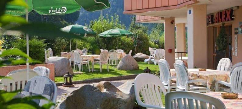 阿莱士商务及Spa酒店(Hotel Alex Business & Spa)图片