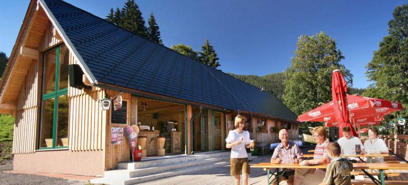 德尔希巴彻霍夫酒店(Der Seebacherhof)图片