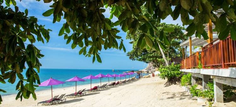 苏梅岛白沙度假村(White Sand Samui Resort)图片