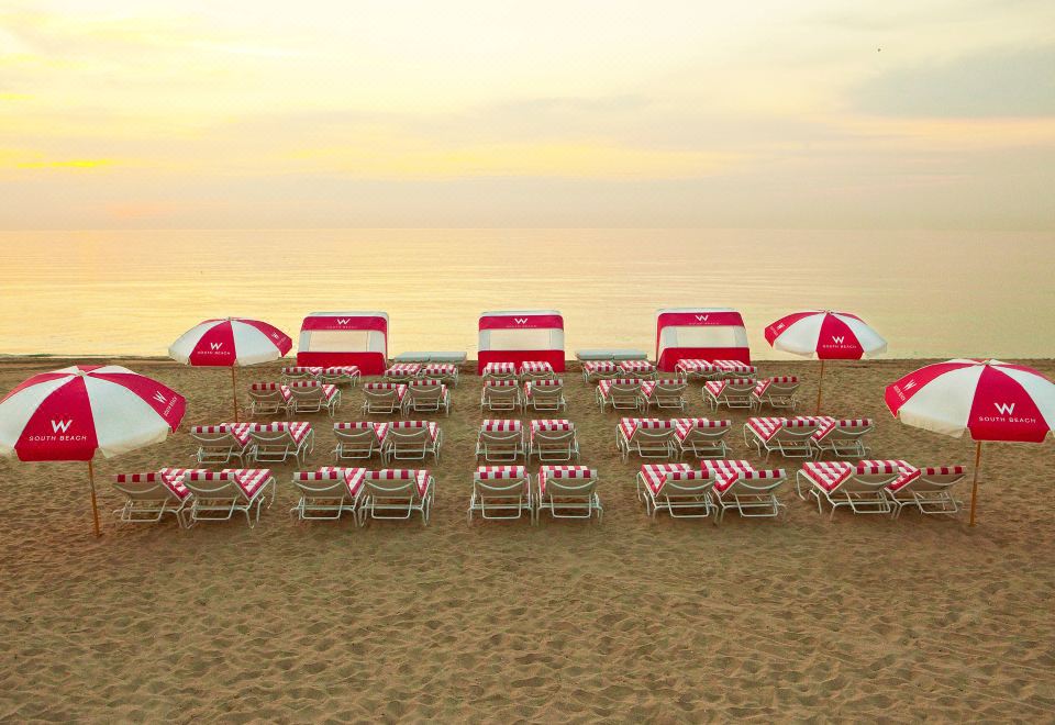 W South BeachHotel Overview