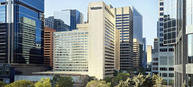 威斯汀卡尔加里酒店(The Westin Calgary)图片