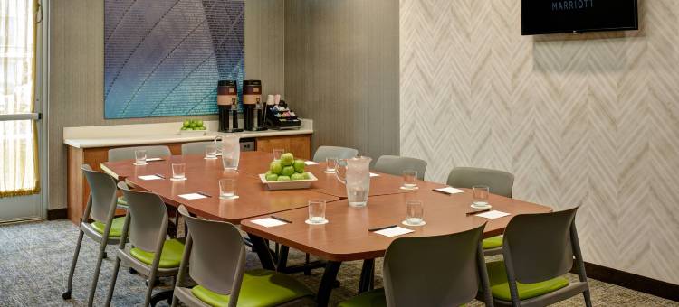 SpringHill Suites Saginaw图片