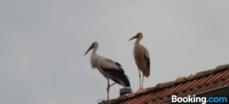 维赫斯特德尔霍夫酒店(Wehrstedter Hof)图片