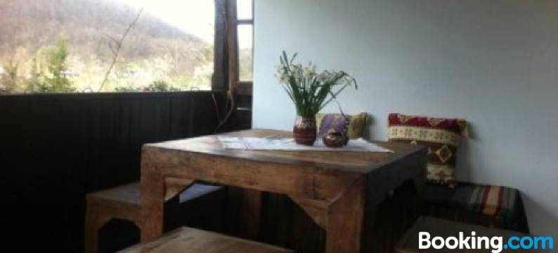 斯塔法尼亚宾馆(Stefanina Guesthouse)图片