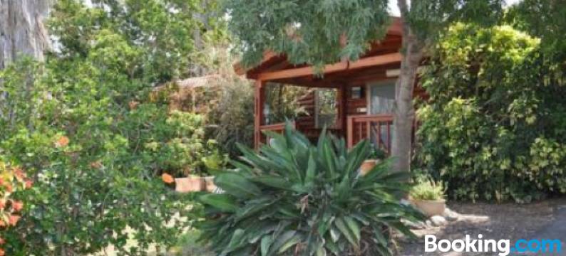 诺夫基尼尔特酒店(Nof Kinnert)图片