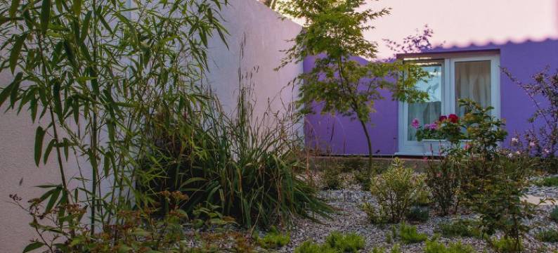 迪拜旅馆(Guesthouse Dubai)图片