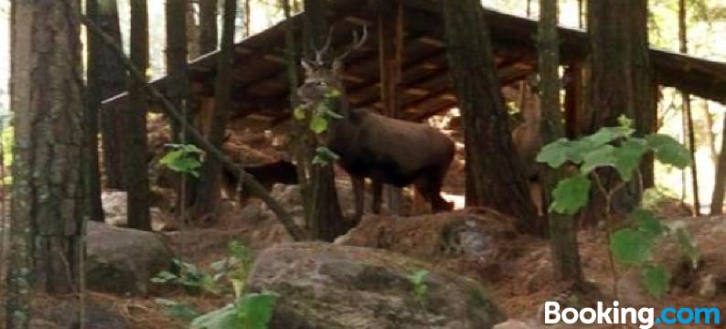 特亚玛尼赖斯俱乐部酒店(Club Tejamaniles)图片