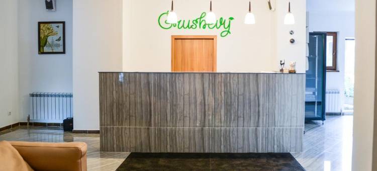 格鲁舍维好客精品酒店(Grushevy Hospitality Boutique)图片
