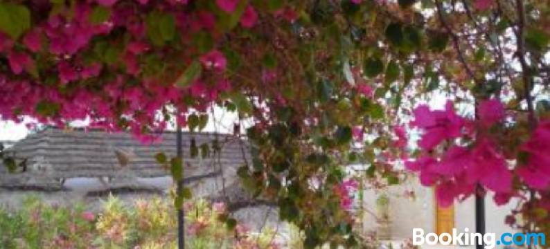 门泽尔卡哈酒店(Menzel Sonia Caja)图片