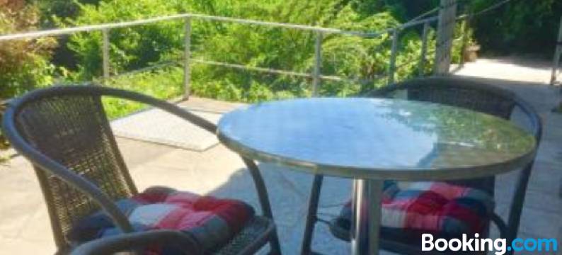 Mainzimmer Business Appartment - Monteurwohnung Mit Burgblick图片