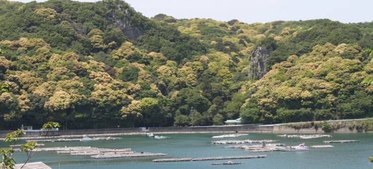 料理旅馆 银鳞(Ryouri No Yado Ginrin)图片