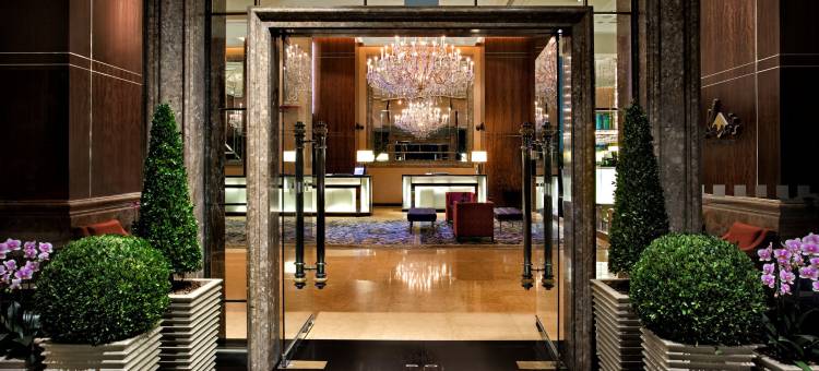 新加坡乌节市中心假日酒店 - IHG 旗下酒店(Holiday Inn Singapore Orchard City Centre)图片