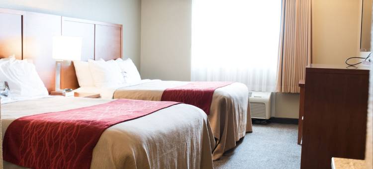 兰利舒适酒店(Comfort Inn & Suites)图片