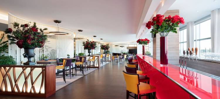 米兰马尔彭萨机场喜来登酒店及会议中心(Sheraton Milan Malpensa Airport Hotel & Conference Centre)图片