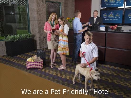 Best Western Mountain Lodge At Banner Elk Hotel Reviews And Room