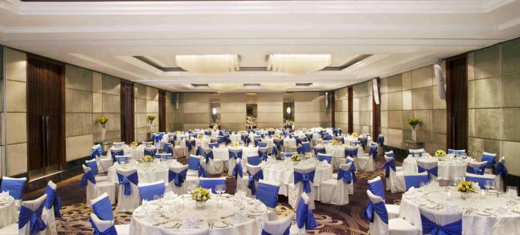 新德里马尤尔维哈尔诺伊达假日酒店(Holiday Inn New Delhi Mayur Vihar Noida)图片