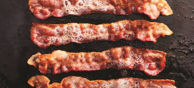 智选假日套房酒店奥兰治城(Holiday Inn Express & Suites Orange City - Deltona)图片