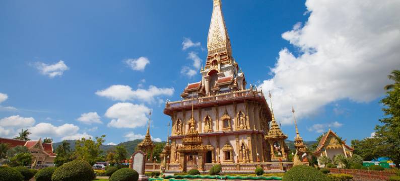 Blu Monkey Hub 和普吉岛酒店(Blu Monkey Hub and Hotel Phuket)图片